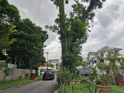 Florence Road (D19), Detached #595850641